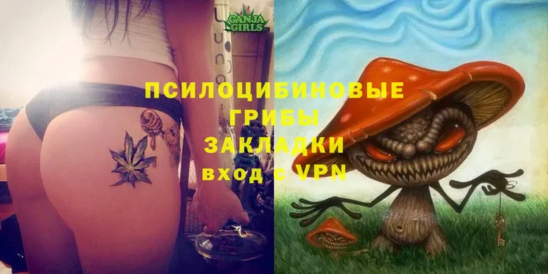 Галлюциногенные грибы MAGIC MUSHROOMS  kraken ТОР  Северск 